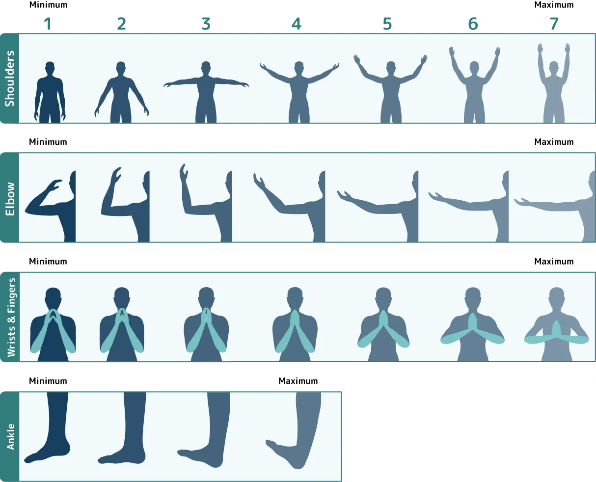 Range of motion to assess joints and fascia.